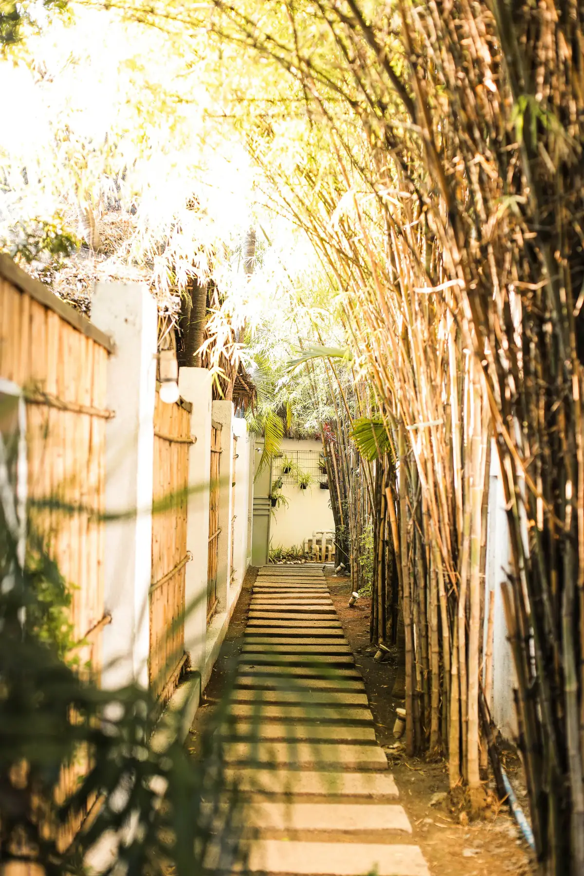 Villa 3 — bamboo-lined garden path